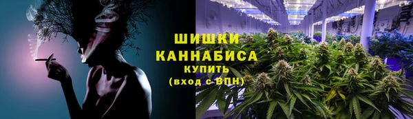 шишки Богородск