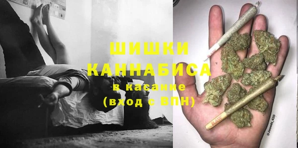 соль ск Богданович