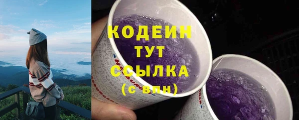 спайс Бородино