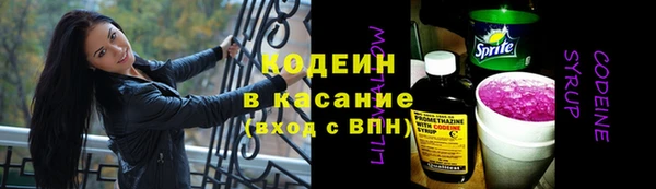 шишки Богородск