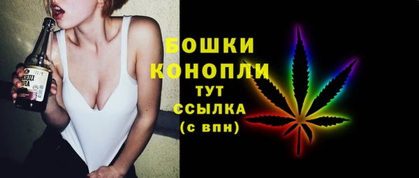 соль ск Богданович
