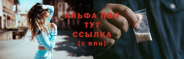 шишки Богородск