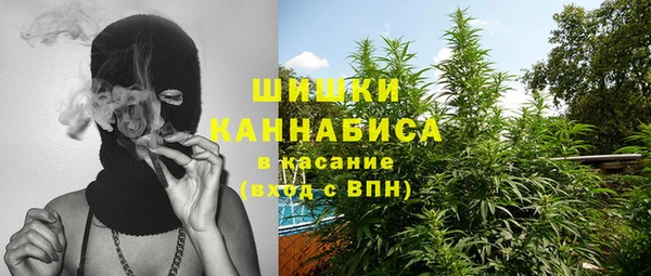 стаф Бронницы
