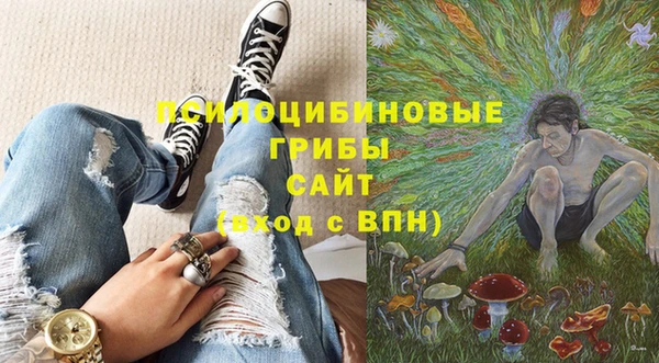 стаф Бронницы
