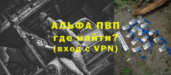 соль ск Богданович