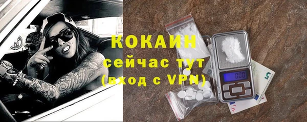 шишки Богородск