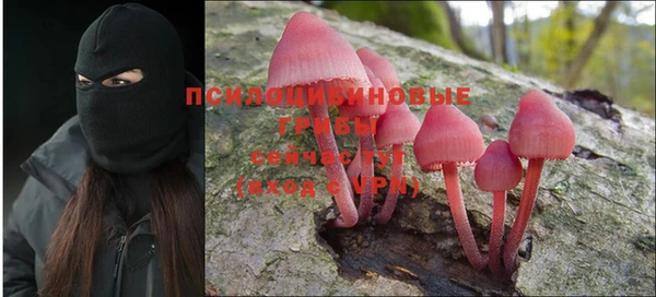 спайс Бородино